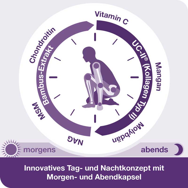 flexiLoges Knorpel aktiv 120 St Kapseln