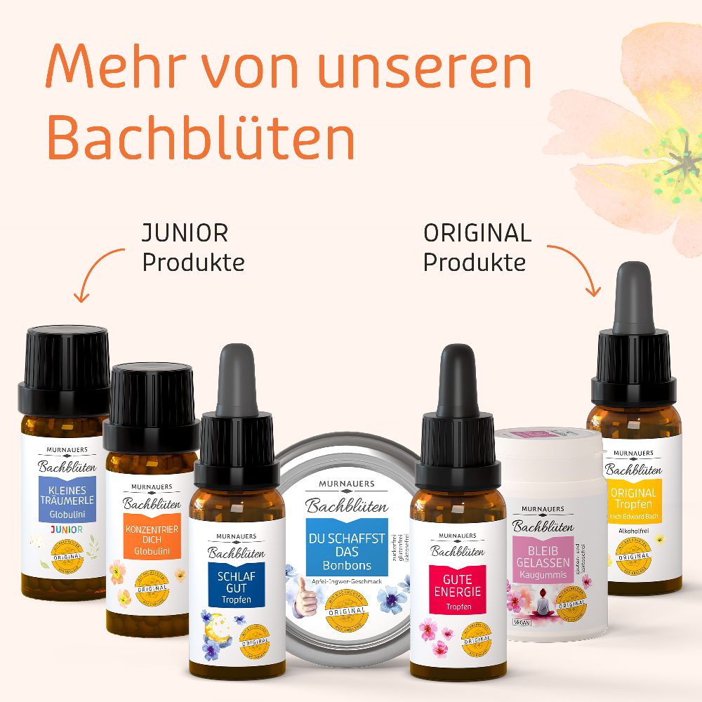 MURNAUERS Bachblüten Konzentrier Dich Globulini 10 g Globuli