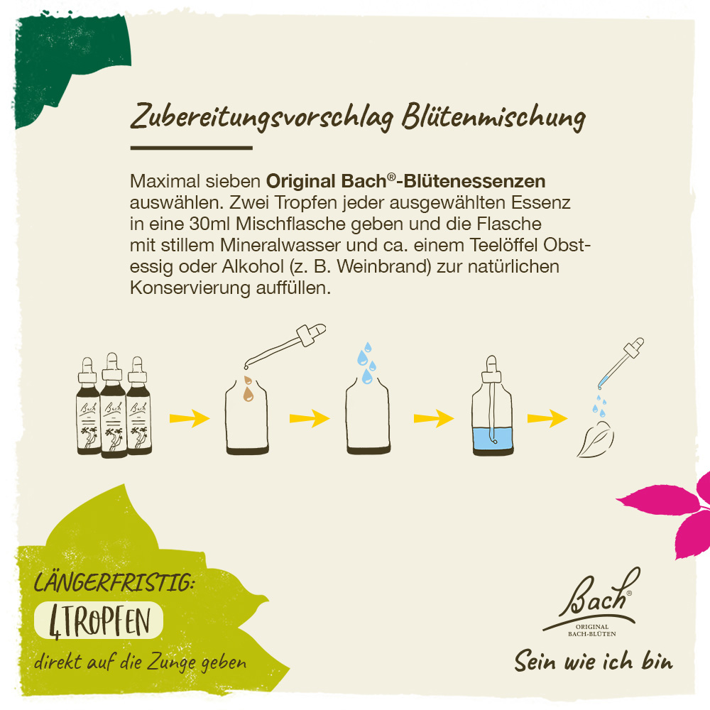 BACHBLÜTEN Original Gorse Nr. 13 20 ml Tropfen
