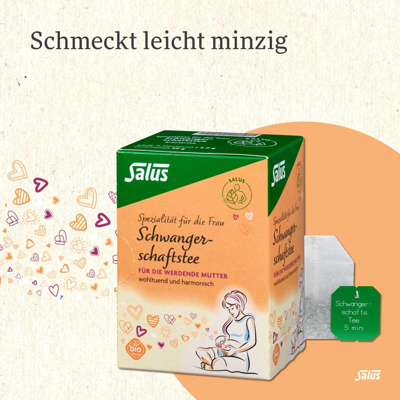 Salus Schwangerschaftstee Bio  15 St Filterbeutel