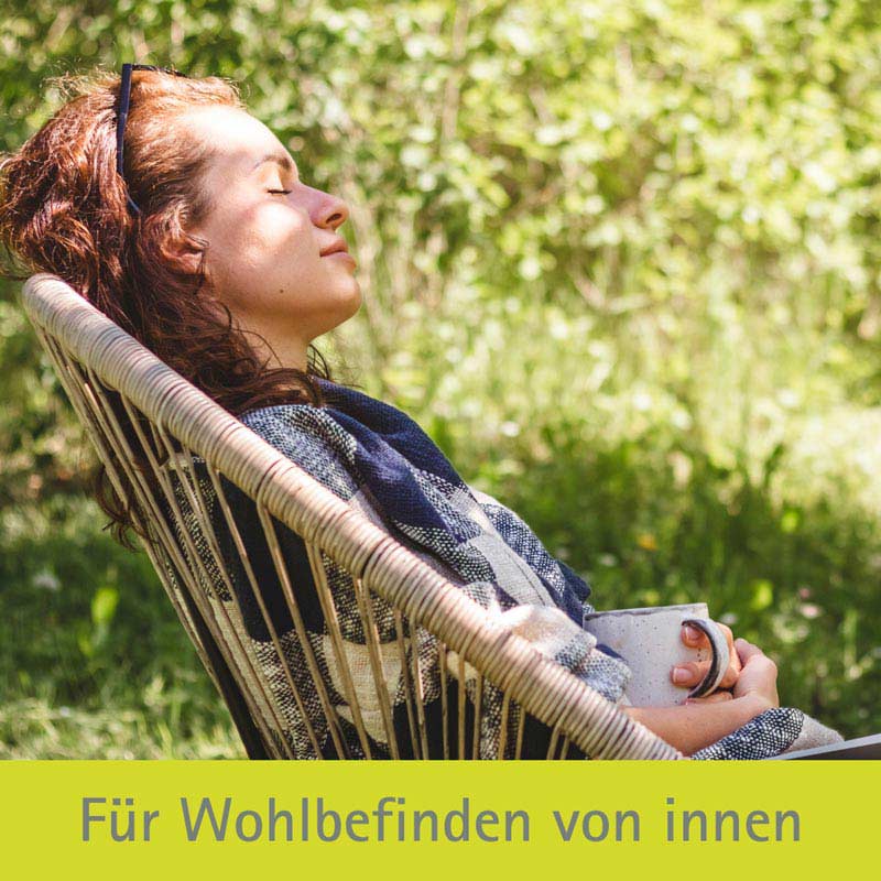 Schüßler-Salz Nr. 6 Kalium sulfuricum D6 100 St Tabletten