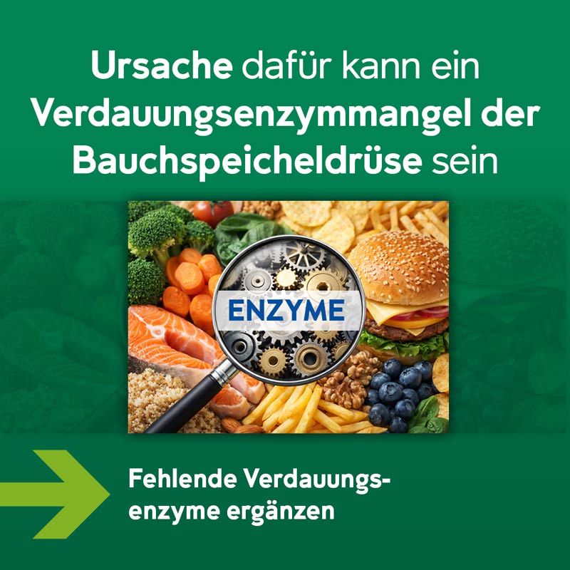 NORTASE 100 St Kapseln