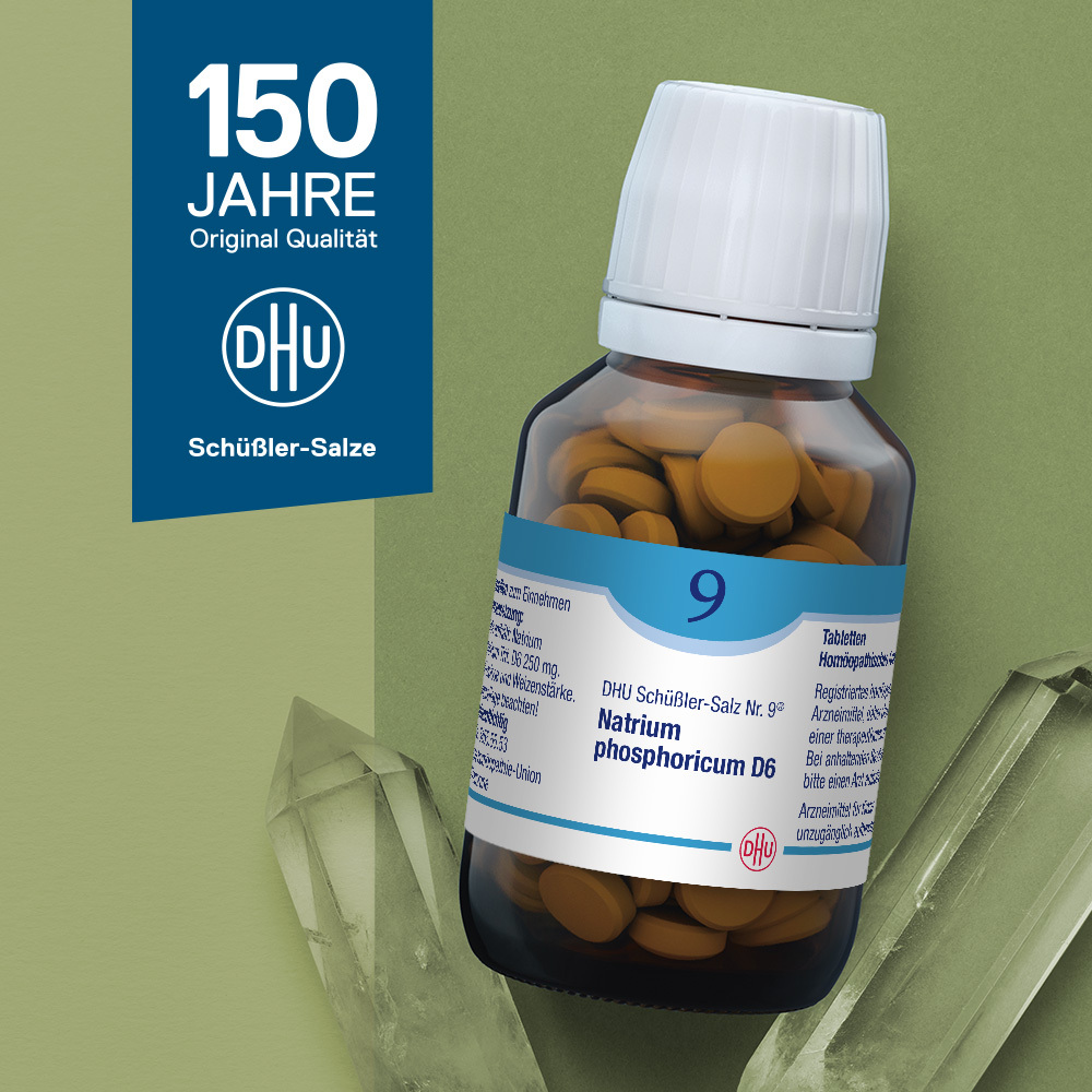 DHU Schüßler-Salz Nr. 9 Natrium phosphoricum D6 900 St Tabletten