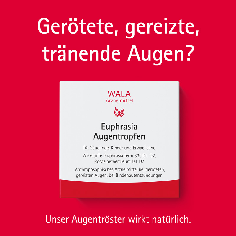 WALA Euphrasia Augentropfen 30X0.5 ml Augentropfen