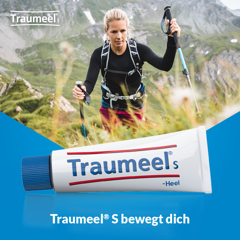 Traumeel S 100 g Creme