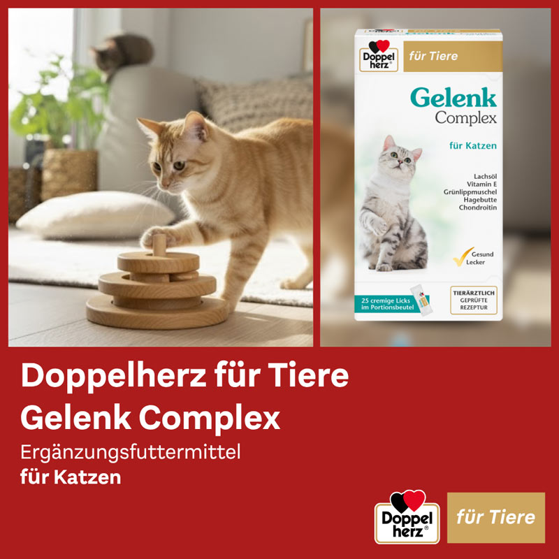 Doppelherz Gelenk Complex für Katzen 25 St Paste