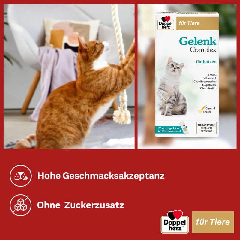 Doppelherz Gelenk Complex für Katzen 25 St Paste