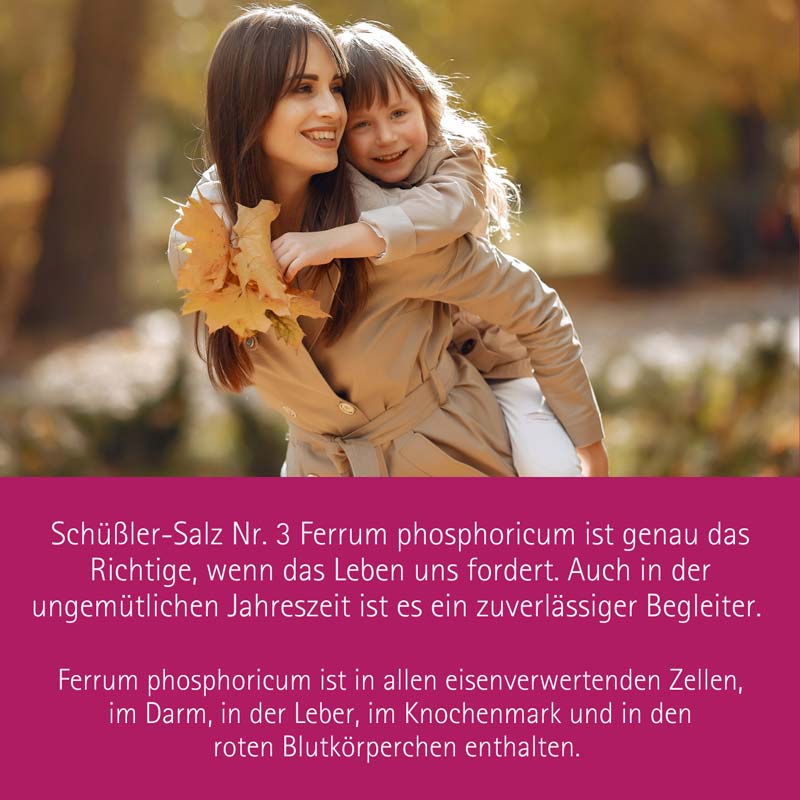 Schüßler-Salz Nr. 3 Ferrum phosphoricum D12 100 g Pulver