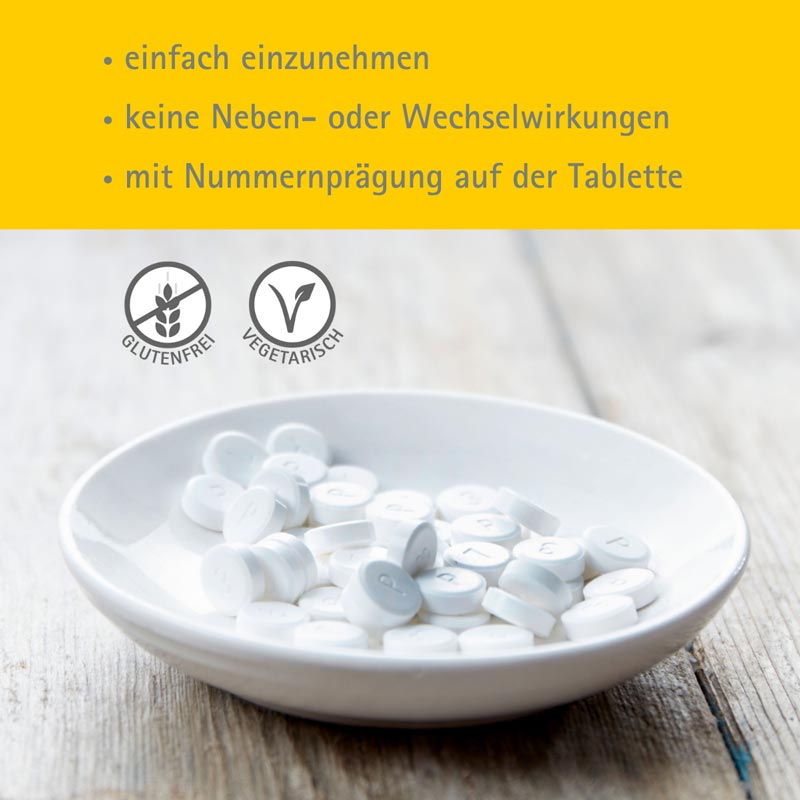 Schüßler-Salz Nr. 1 Calcium fluoratum D12 4000 St Tabletten