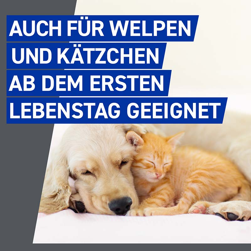 FRONTLINE Spray gegen Zecken und Flöhe für Hunde und Katzen 100 ml Spray