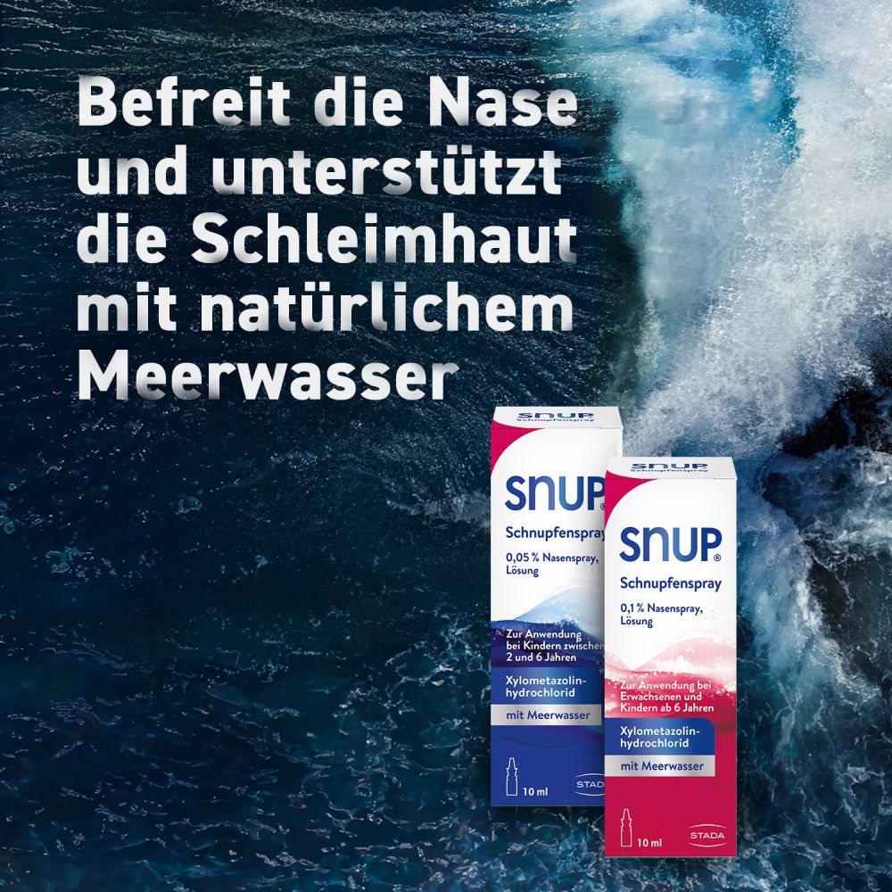 Snup Schnupfenspray 0,1% 15 ml Nasenspray