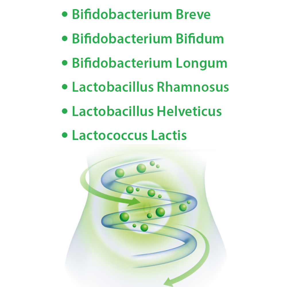 Dr. Jacob's LaktoBifido Milchsäurebakterien