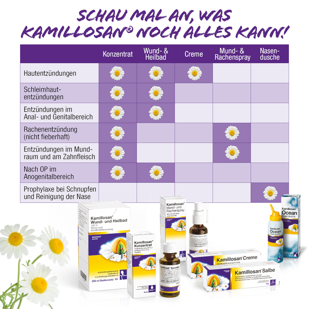 Kamillosan Salbe 100 g Salbe