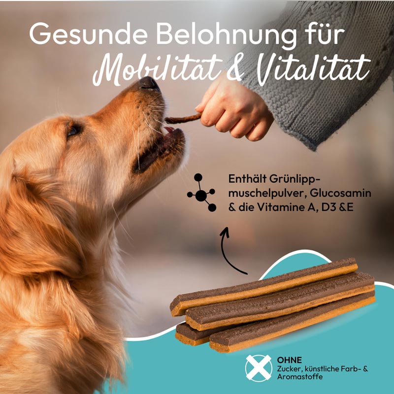 PHA GelenkStick für Hunde 1 St Kaudragees