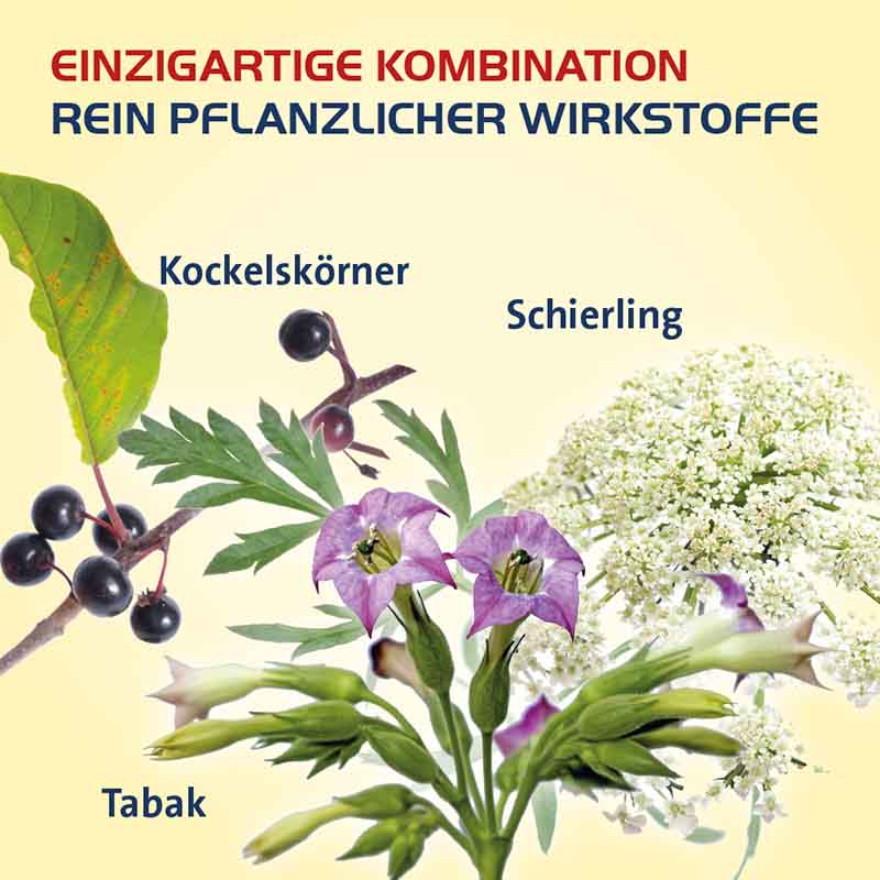 VERTIGO HEVERT SL Bei Schwindel 260 St Tabletten