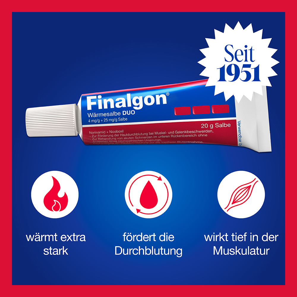 Finalgon Wärmesalbe DUO 20 g Salbe