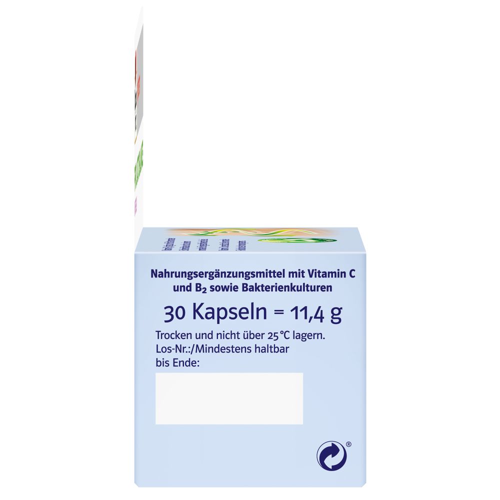 Doppelherz system PRO LACTO BALANCE 30 St Kapseln