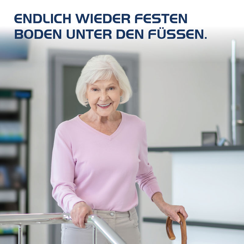 VERTIGO HEVERT SL Bei Schwindel 260 St Tabletten