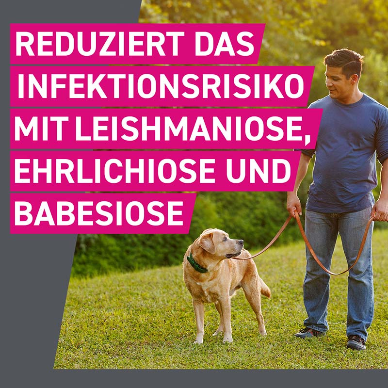 FRONTLINE TRI-ACT gegen Zecken, Flöhe und fliegende Insekten für Hunde S (5-10 kg)  6 St Lösung