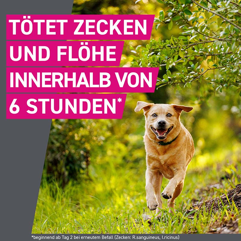 FRONTLINE TRI-ACT gegen Zecken, Flöhe und fliegende Insekten für Hunde S (5-10 kg)  6 St Lösung