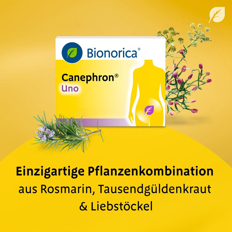 Canephron Uno  30 St Überzogene Tabletten