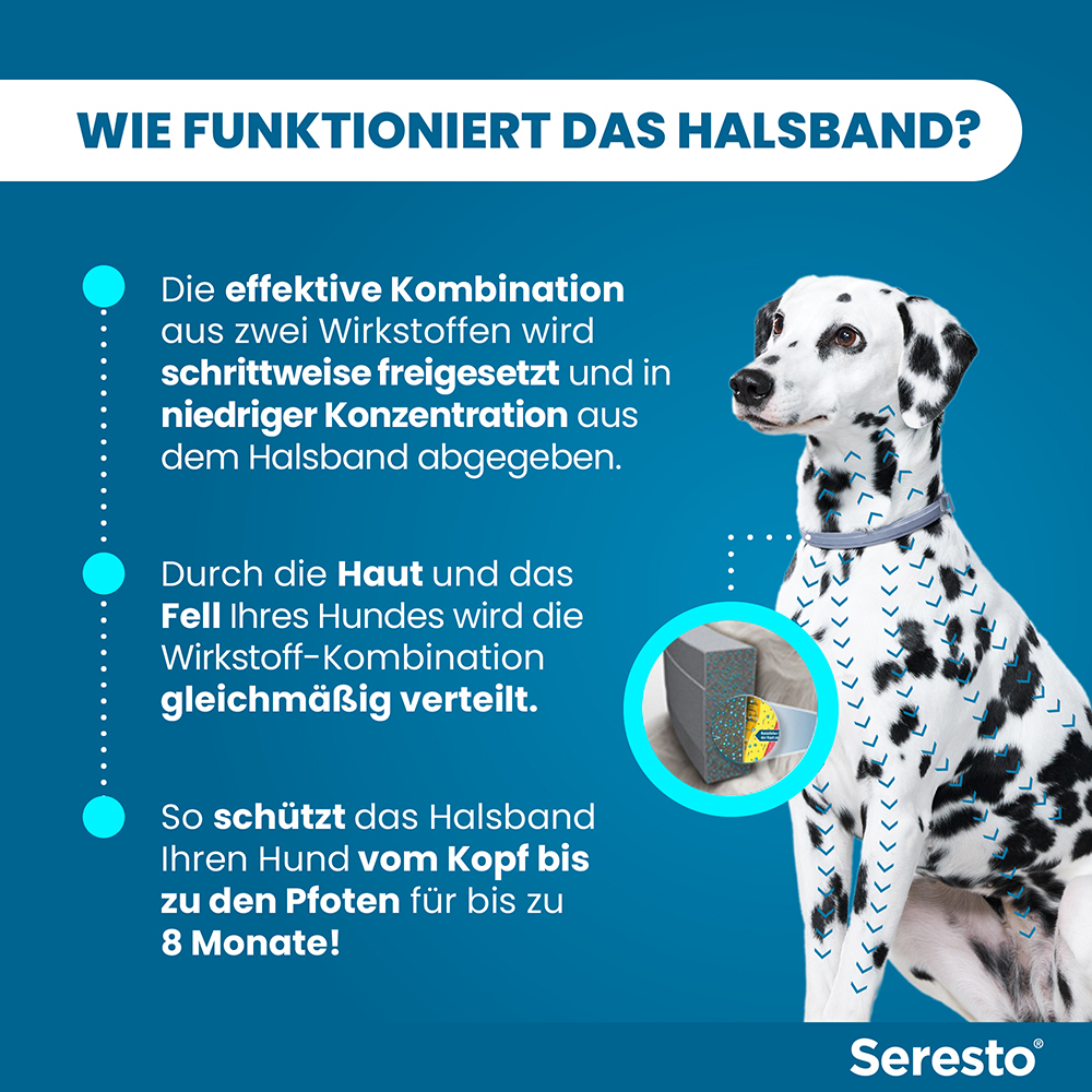 SERESTO 4.5+2.03 HUND AB 8KG 1 St Halsband