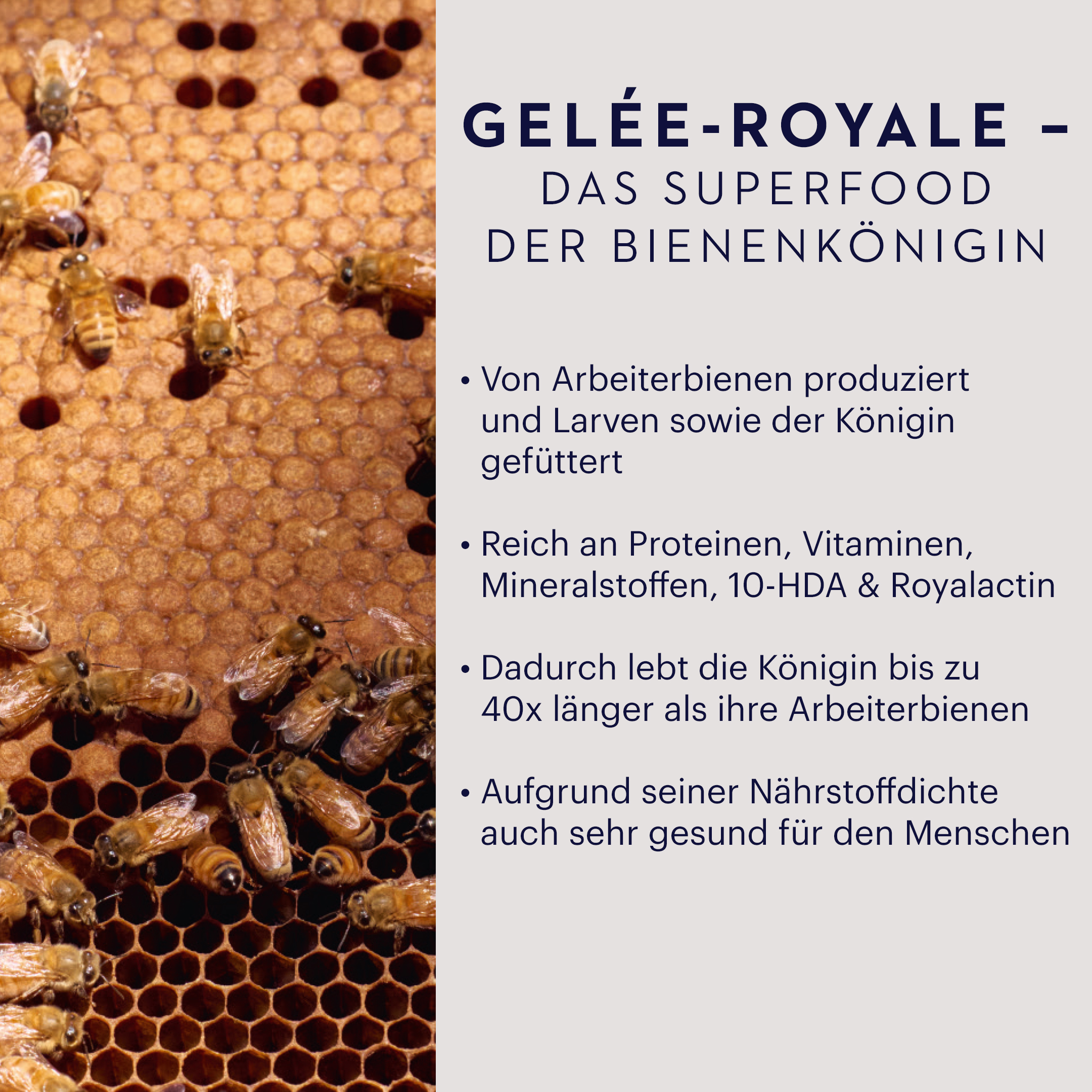 Manuka Health ROYAL JELLY MGO 400+ 250 g