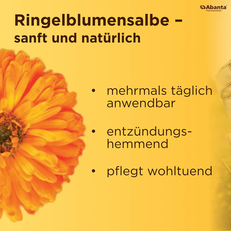 RINGELBLUMEN SALBE 50 ml Salbe
