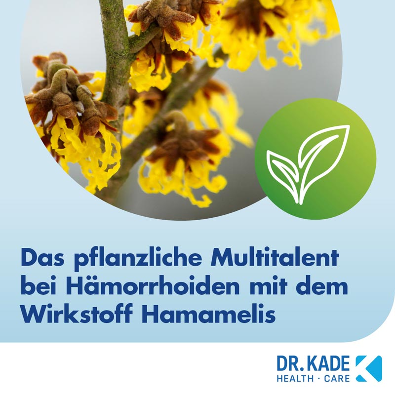FAKTU lind Hämorrhoidenzäpfchen 10 St Suppositorien