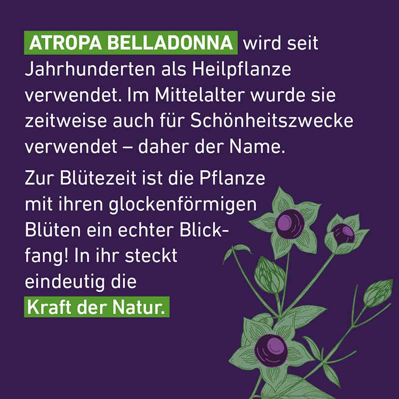 Belladonna D12 Globuli Pflüger 10 g Globuli