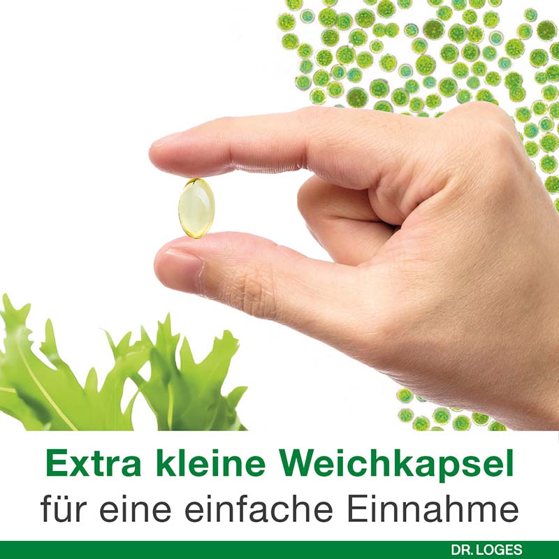 omega3-Loges pflanzlich 60 St Kapseln