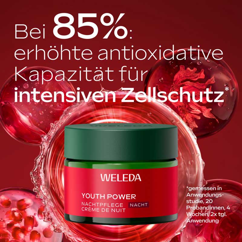 WELEDA YOUTH POWER NACHTCREME 40 ml Nachtcreme