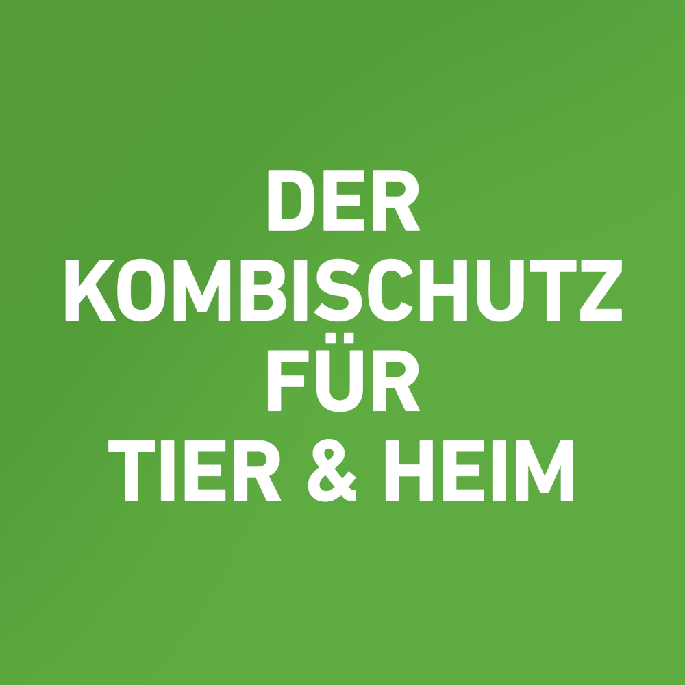 FRONTLINE COMBO gegen Zecken, Flöhe (Flöhe, Eier, Larven, Puppen) bei Hunden XL (40-60Kg) 3 St Lösung
