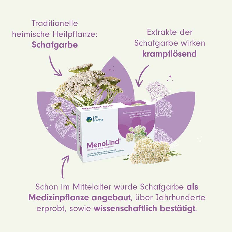 MenoLind BEH 250 mg 60 St Filmtabletten