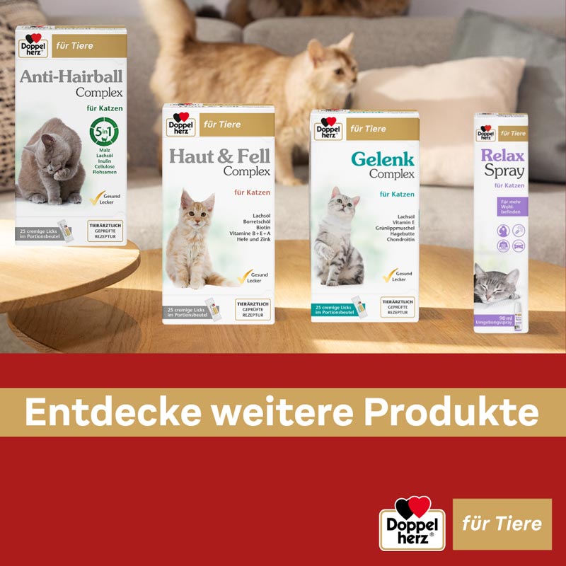 Doppelherz Gelenk Complex für Katzen 25 St Paste