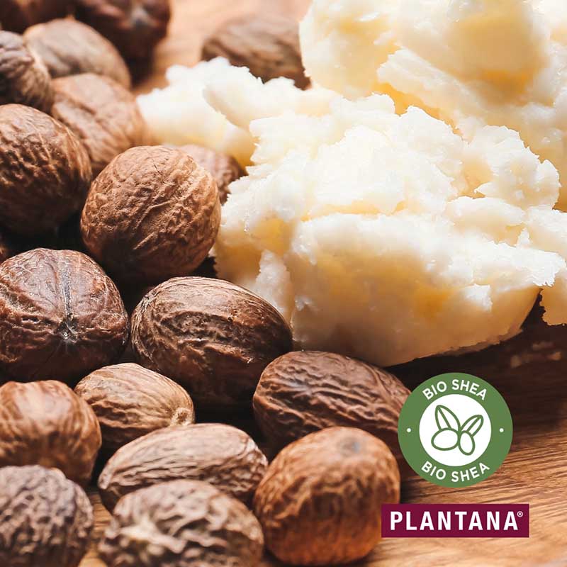 PLANTANA GESICHTSCREME SHEA Butter 50 ml Creme