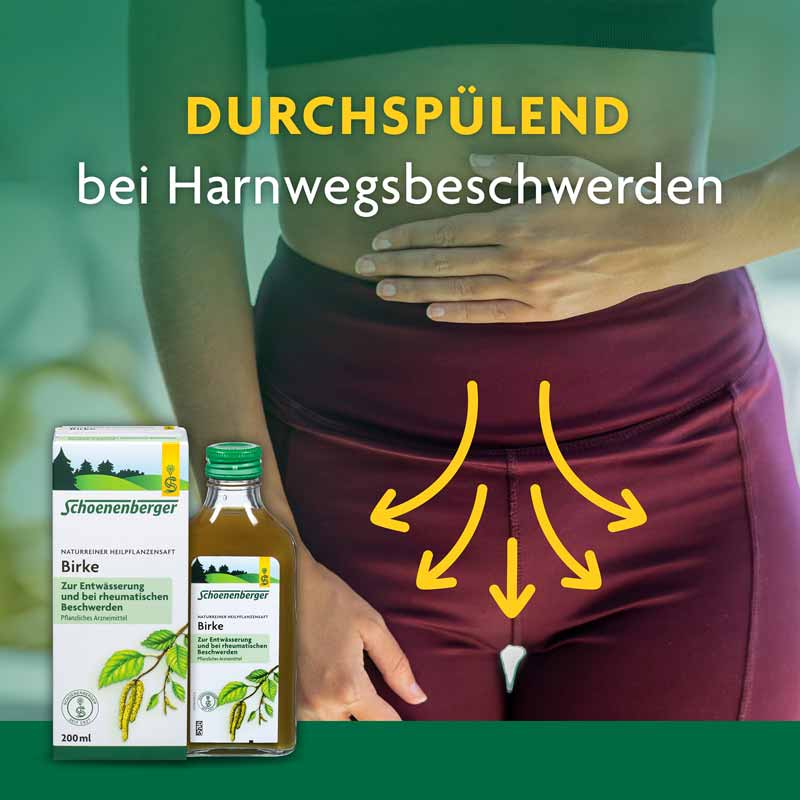 Schoenenberger Birke naturreiner Heilpflanzensaft 3X200 ml Saft