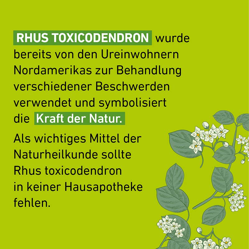 RHUS TOXICODENDRON C30 Globuli Pflüger 10 g Globuli