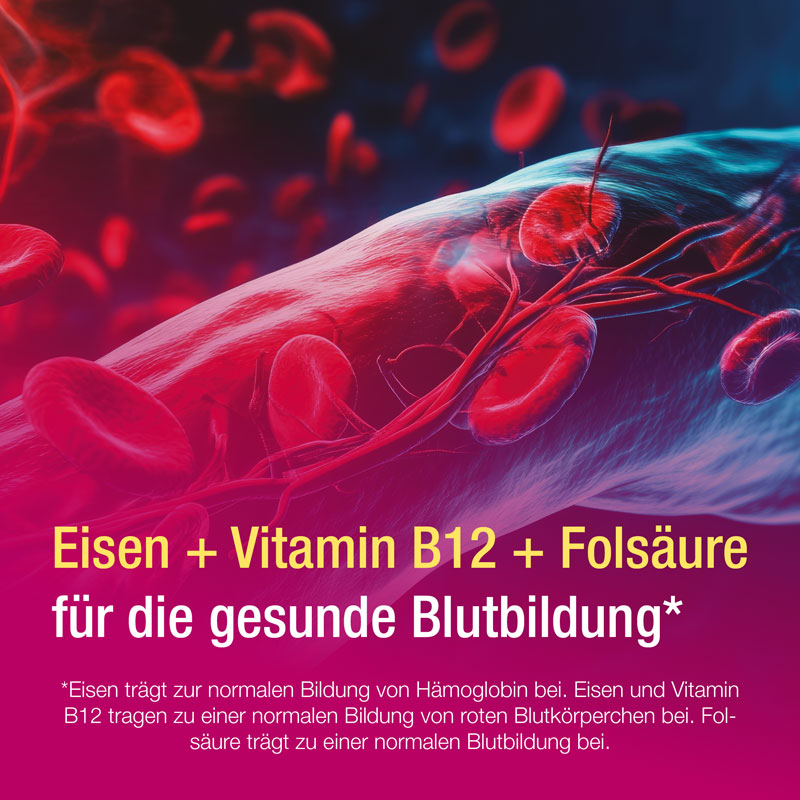 Eisen Verla Plus Direkt Sticks 60 St Granulat