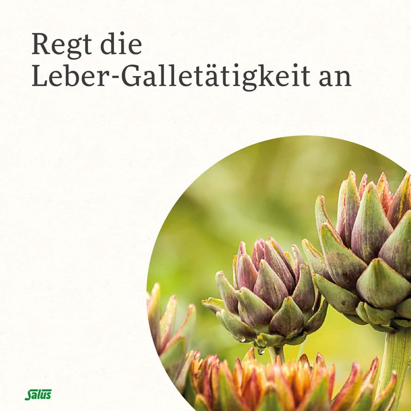 Gallexier Kräuterbitter Elixier Salus Fl 250 ml 250 ml Flüssigkeit zum Einnehmen