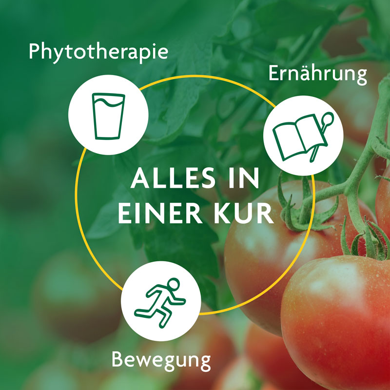 Schoenenberger SCHLANKHEITS FÜR 10 TAGE Würzige Tomate  1 Packung Saft