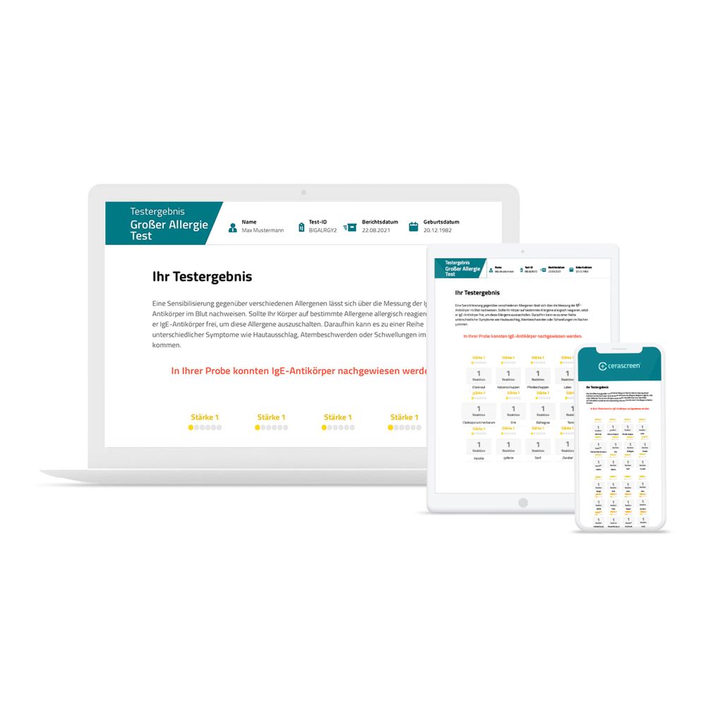 CERASCREEN GROSSER ALLERG