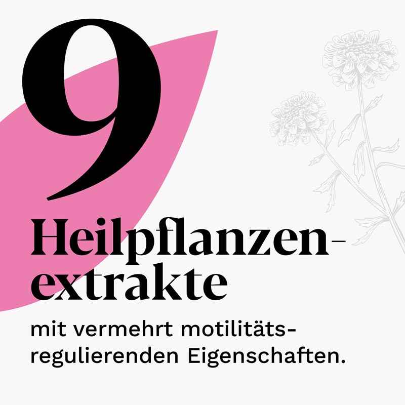 Iberogast Classic 50 ml Flüssigkeit zum Einnehmen