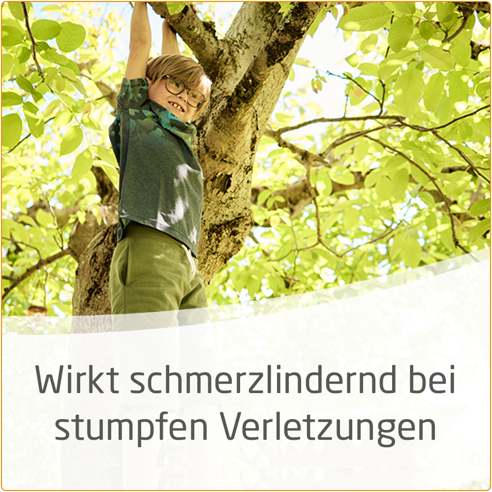 WELEDA Arnika-Salbe 30% 70 g Salbe