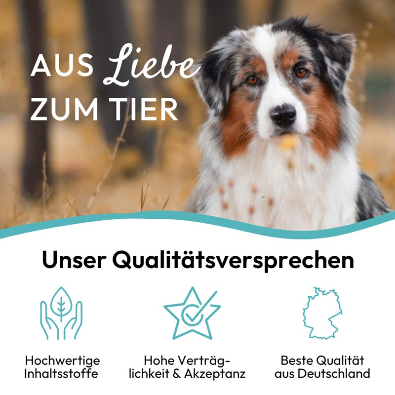 PHA GelenkStick für Hunde 1 St Kaudragees