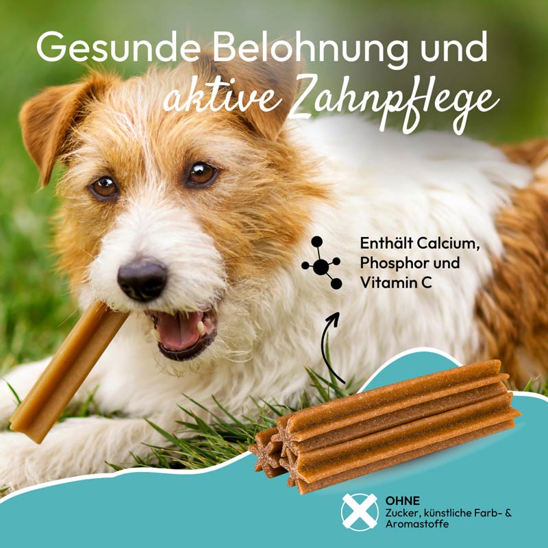 PHA DentalStick für Hunde 7 St Kaudragees