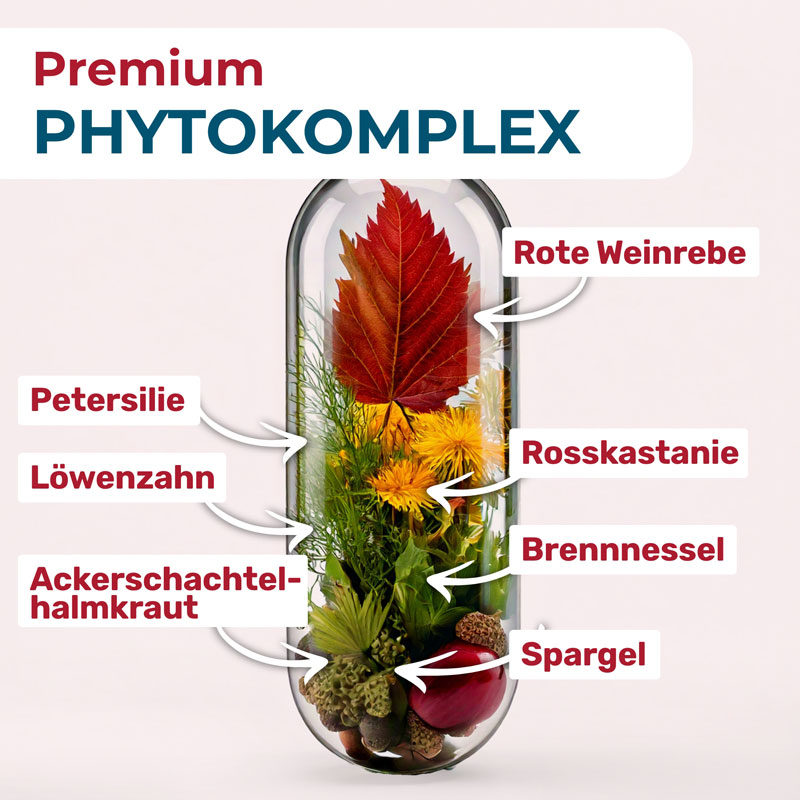 NYRAX Veno - Balance 120 St Kapseln