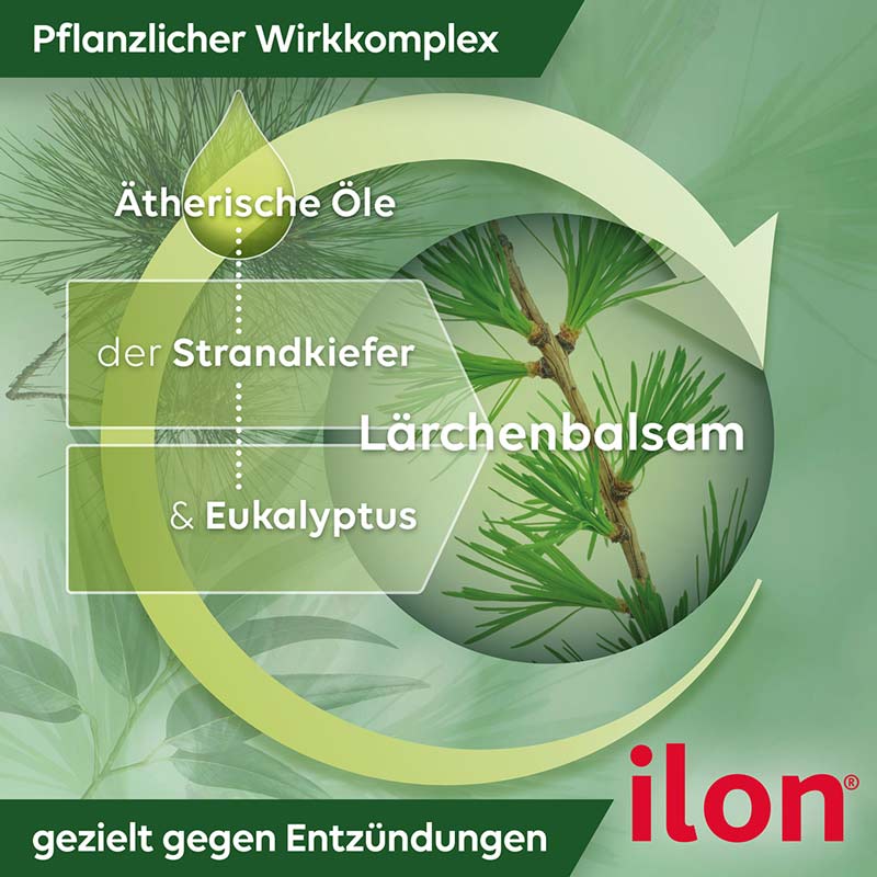ilon SALBE CLASSIC 100 g Salbe