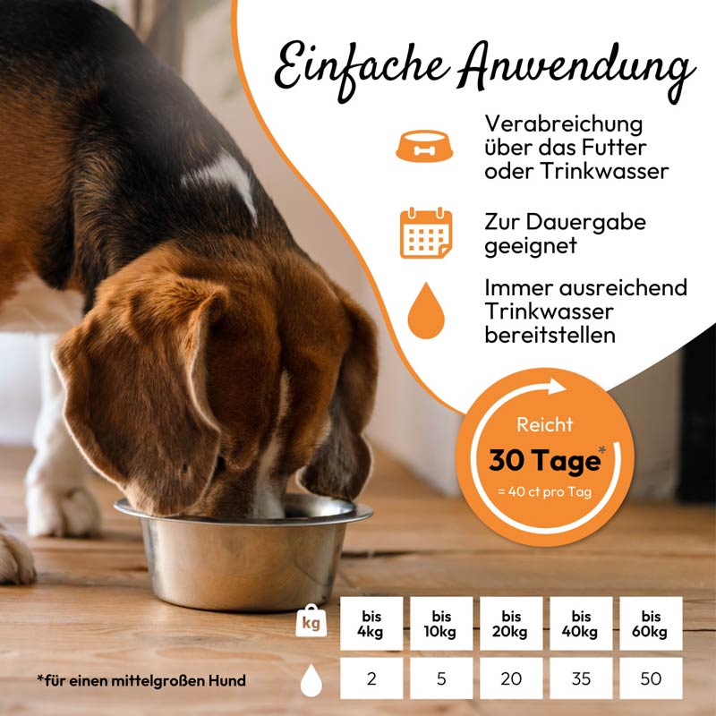PHA NierenActiv Tropfen für Hunde und Katzen 30 ml Tropfen