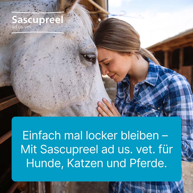 Sascupreel ad us. vet 50X5 ml Ampullen